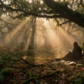 beneath the trees where nobody sees read online